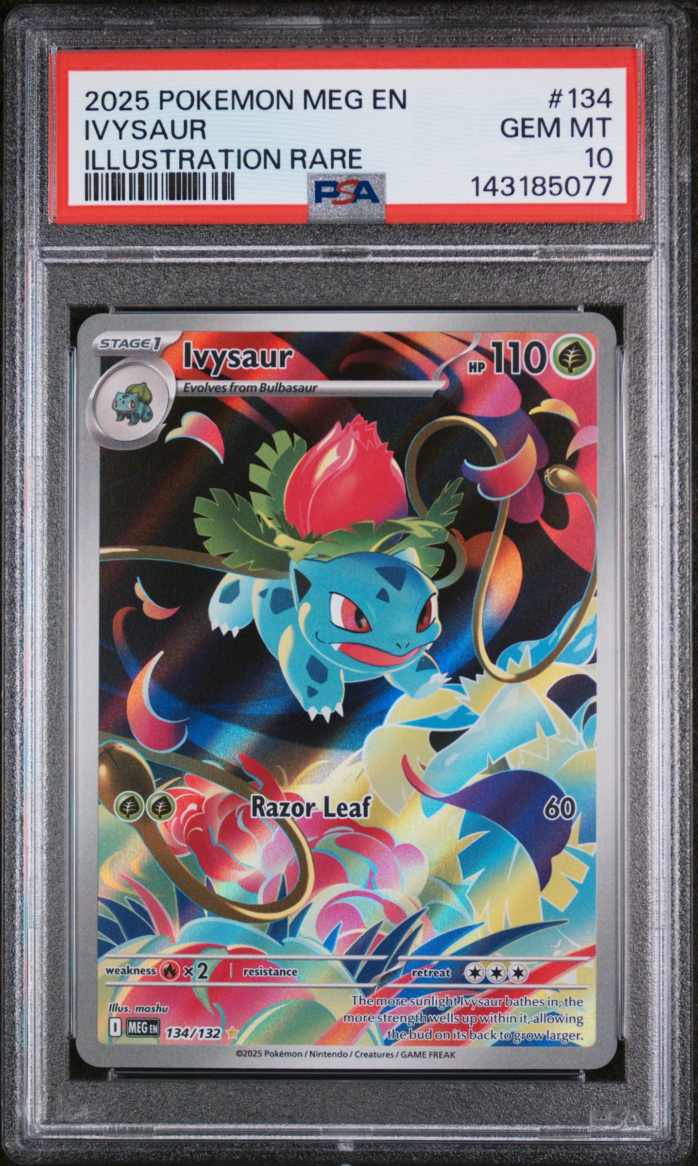 2025 POKEMON MEG EN-MEGA EVOLUTION #134 IVYSAUR ILLUSTRATION RARE